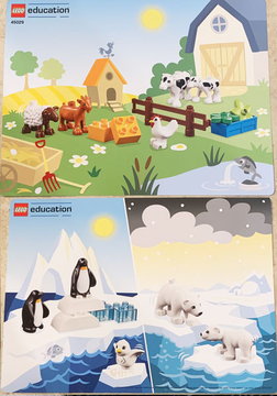 Set 45029 Activity Card 1 (6303127)