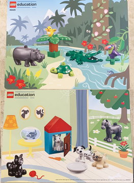 Set 45029 Activity Card 3 (6303131)