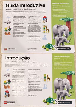 Set 45029 Activity Card 9 (6303193) (Portuguese/Italian)