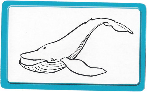 Set 5004933 Activity Card 4 - Whale and Caterpillar