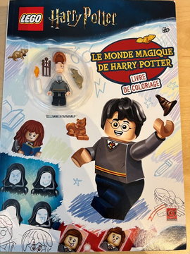 Harry Potter - Le monde magique de Harry Potter (French Edition)