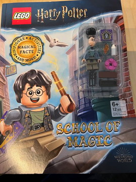 Harry Potter - School of Magic (Softcover)