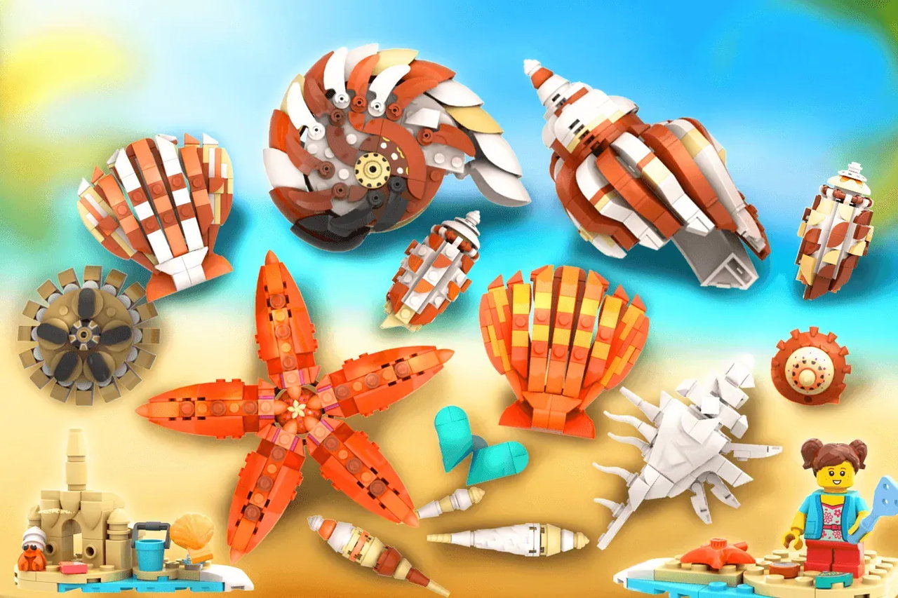 乐高ideas 贝壳收藏🌊🏖️