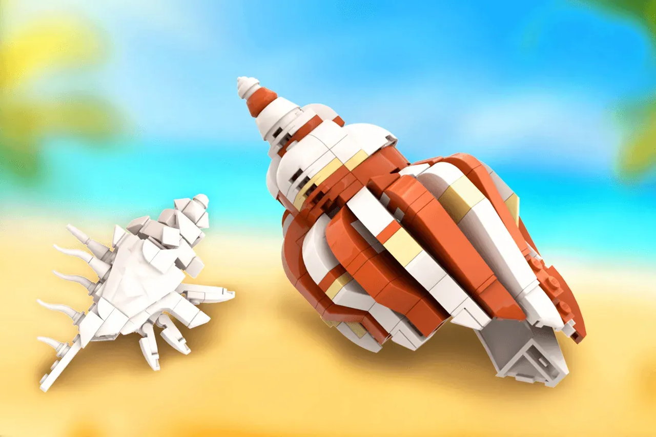 乐高ideas 贝壳收藏🌊🏖️