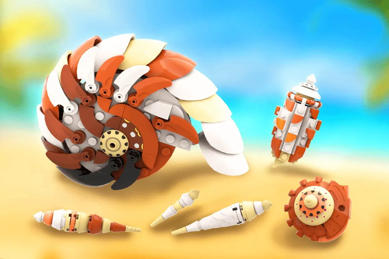 乐高ideas 贝壳收藏🌊🏖️
