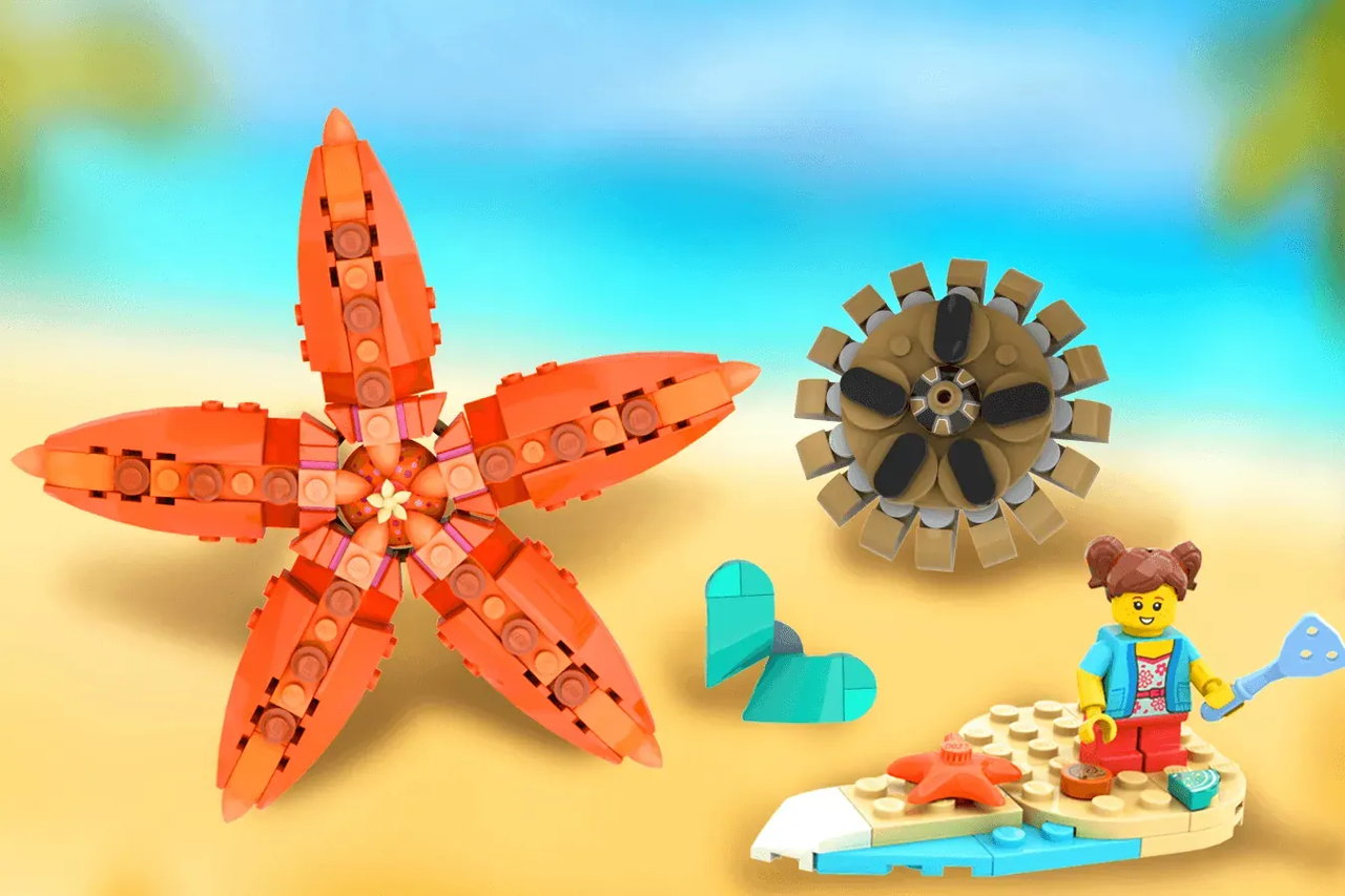 乐高ideas 贝壳收藏🌊🏖️