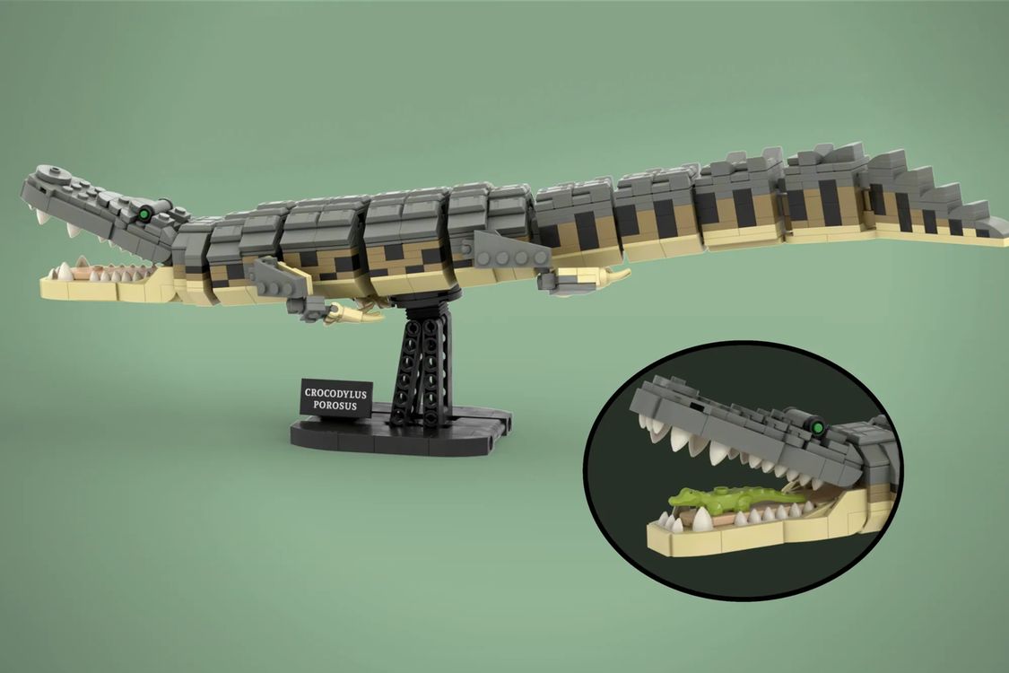 乐高ideas Steve Irwin&Majestic Crocodile