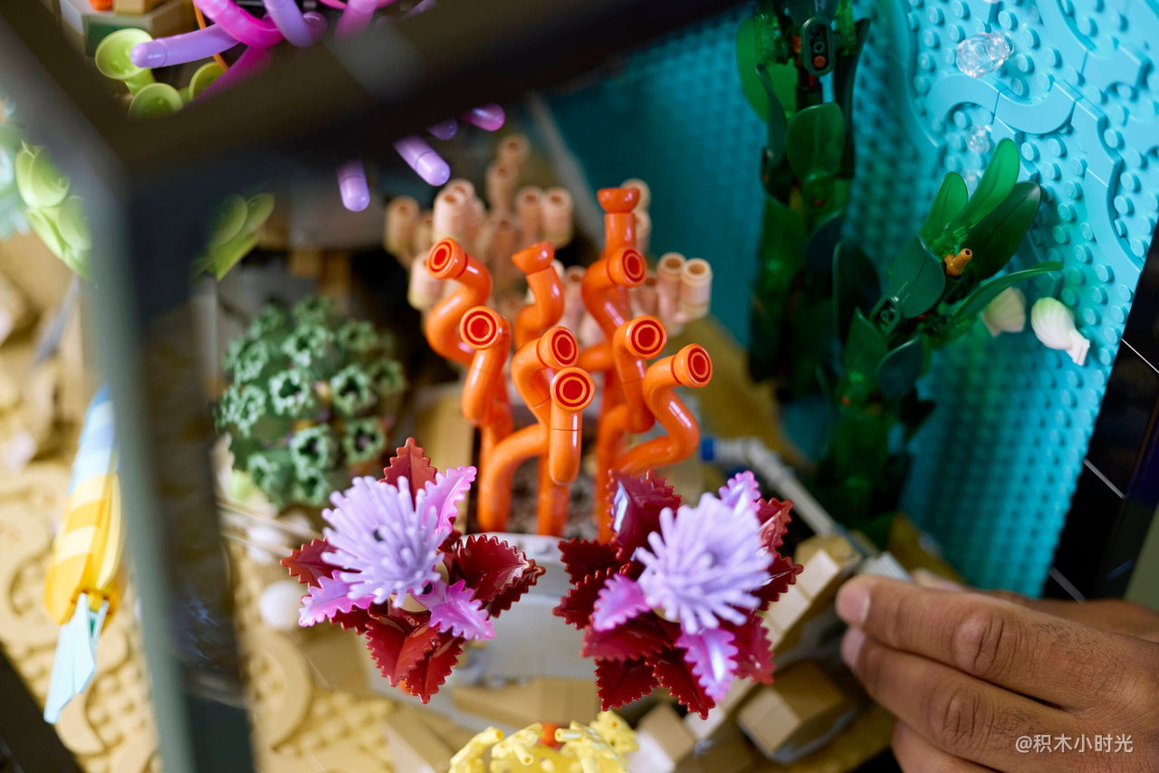 乐高 10366 热带水族箱