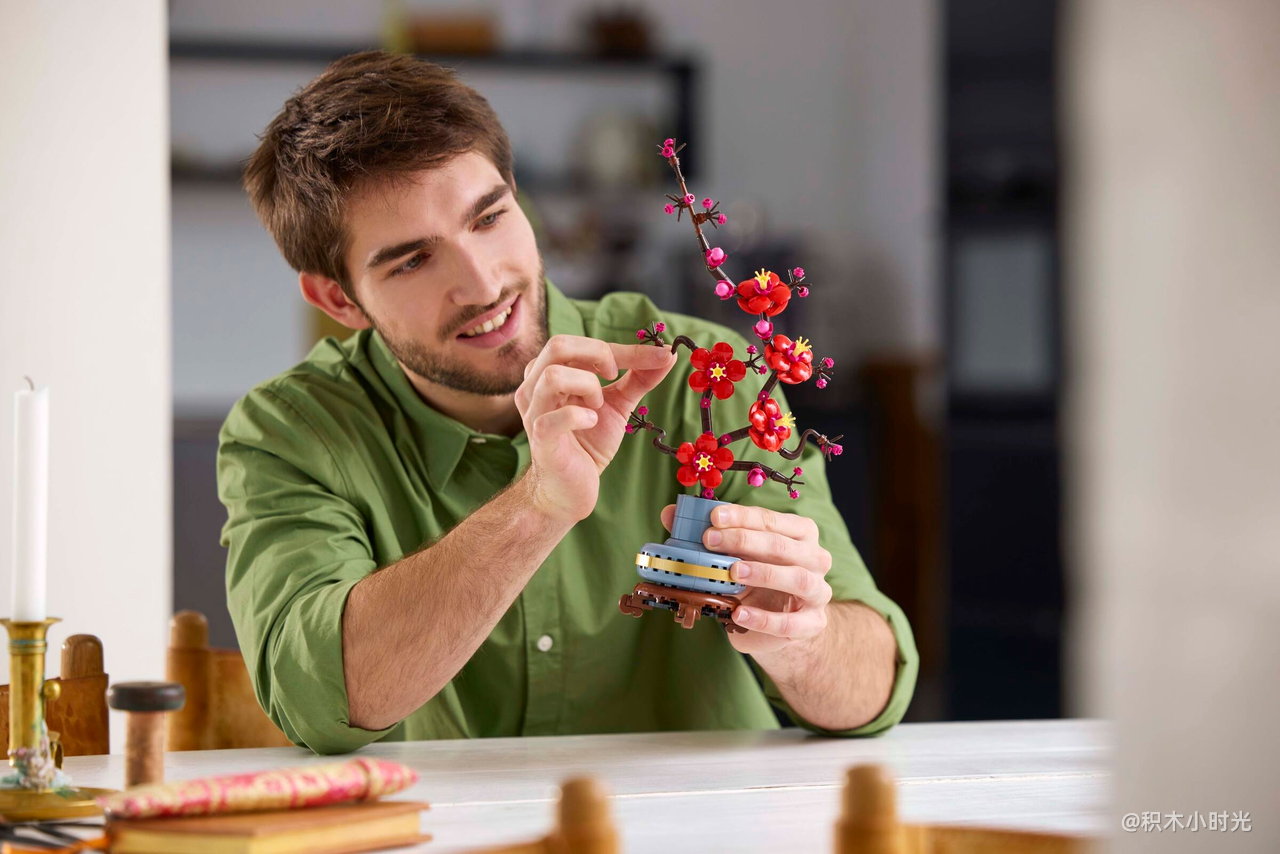 乐高 10369 傲骨梅