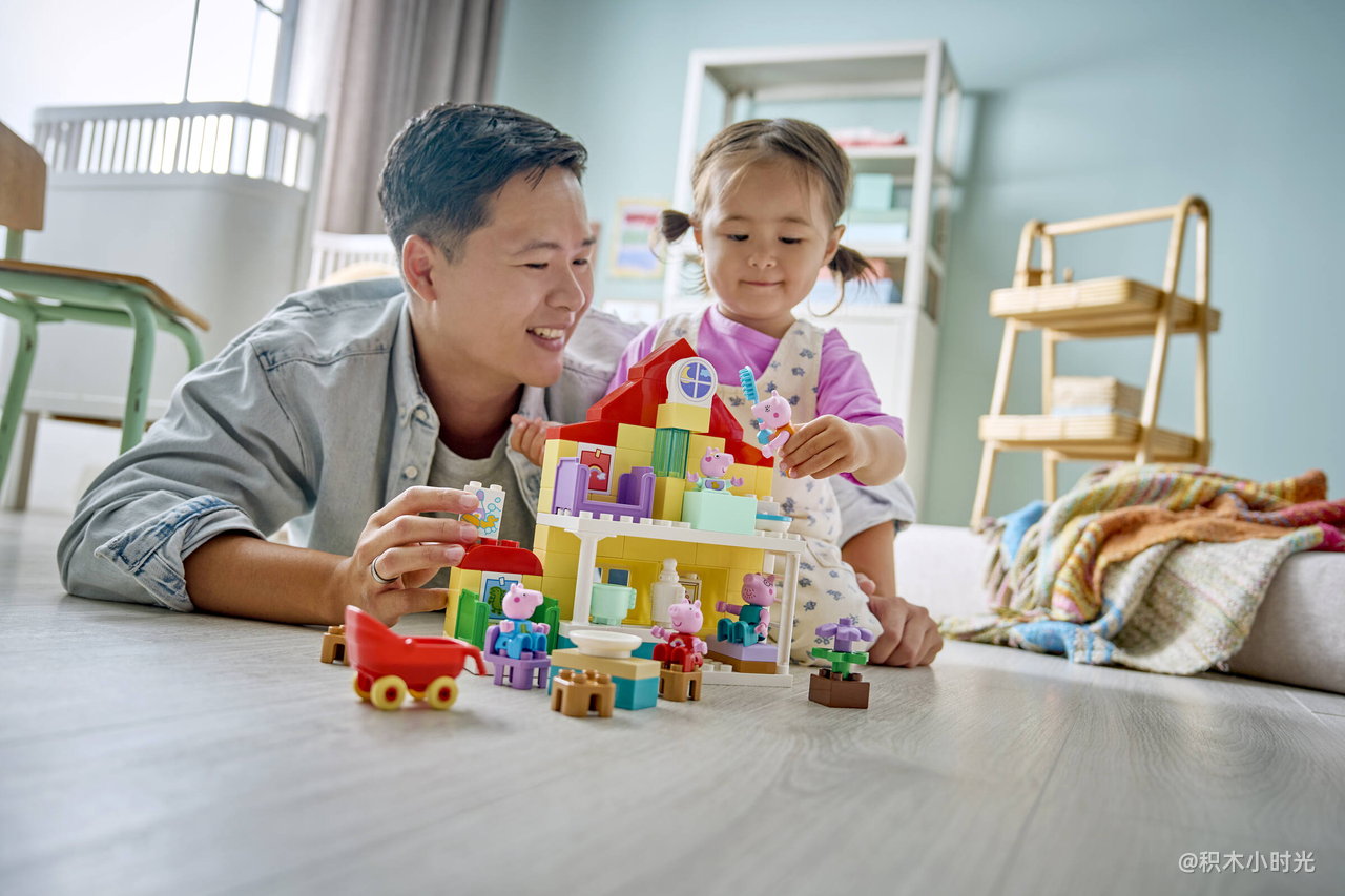 乐高 10467 家庭住宅