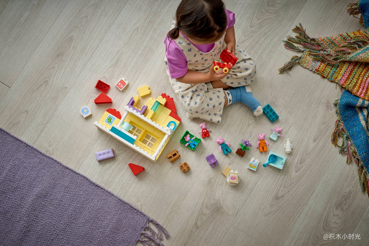 乐高 10467 家庭住宅