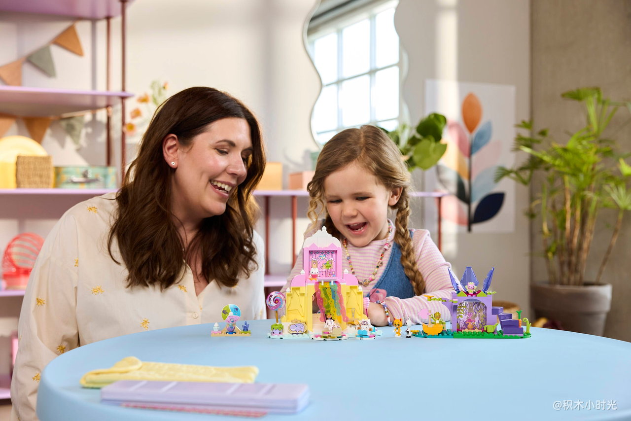 乐高 11205 糖果乐园和水晶花园