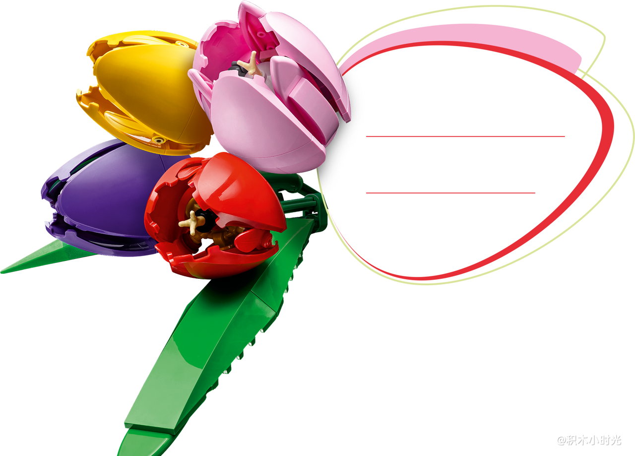 乐高 11501 郁金香花束