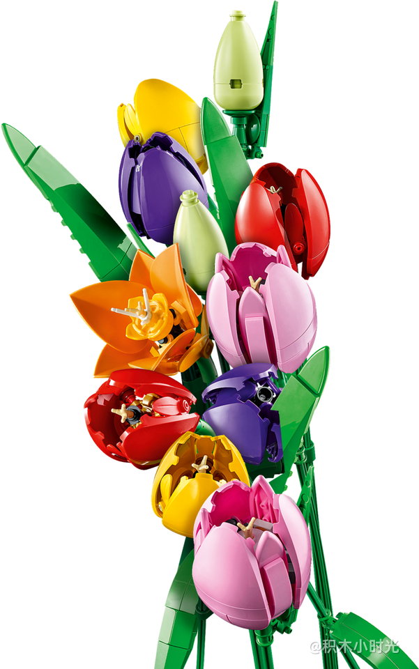乐高 11501 郁金香花束