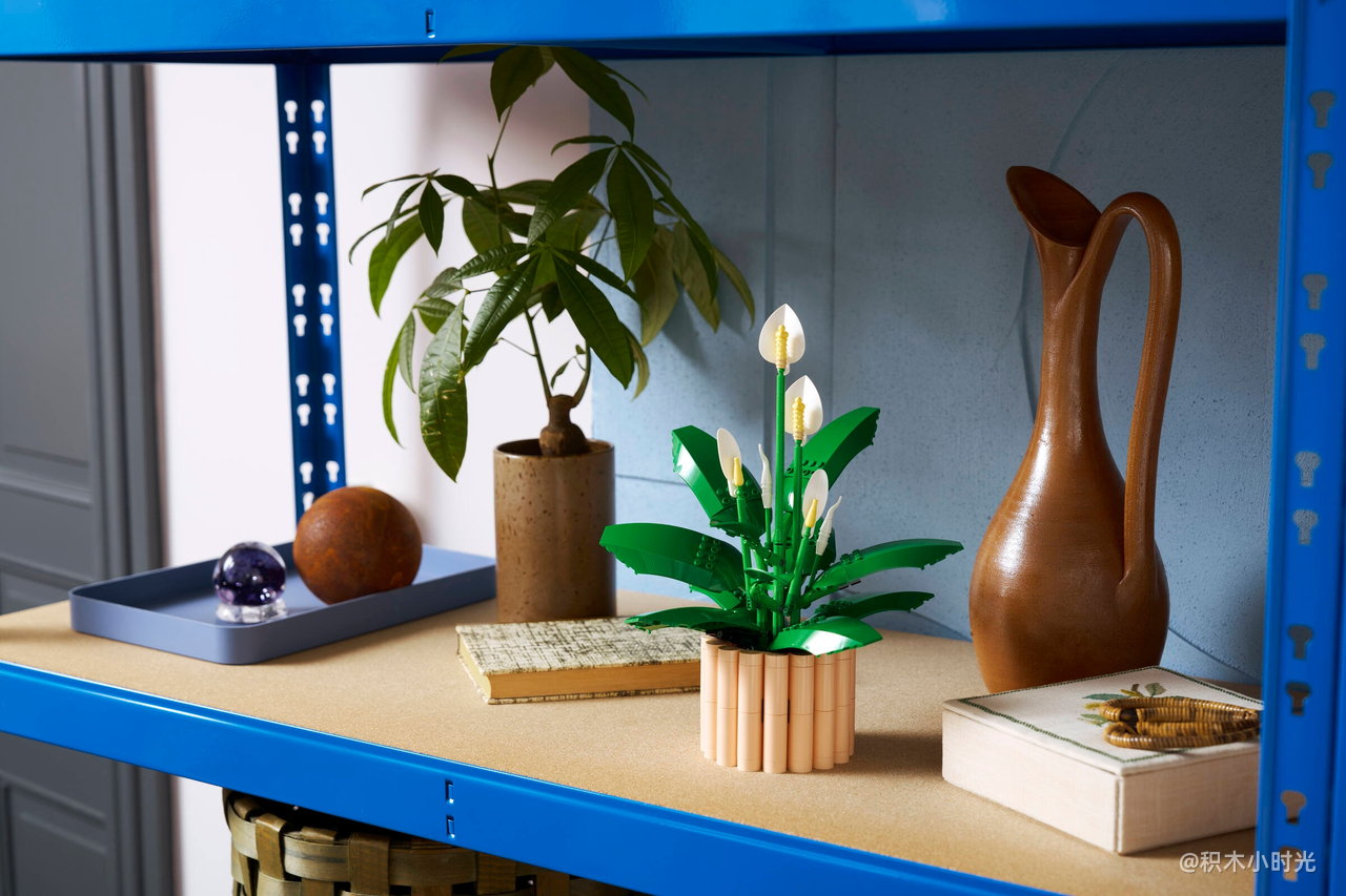 乐高 11504 和平百合