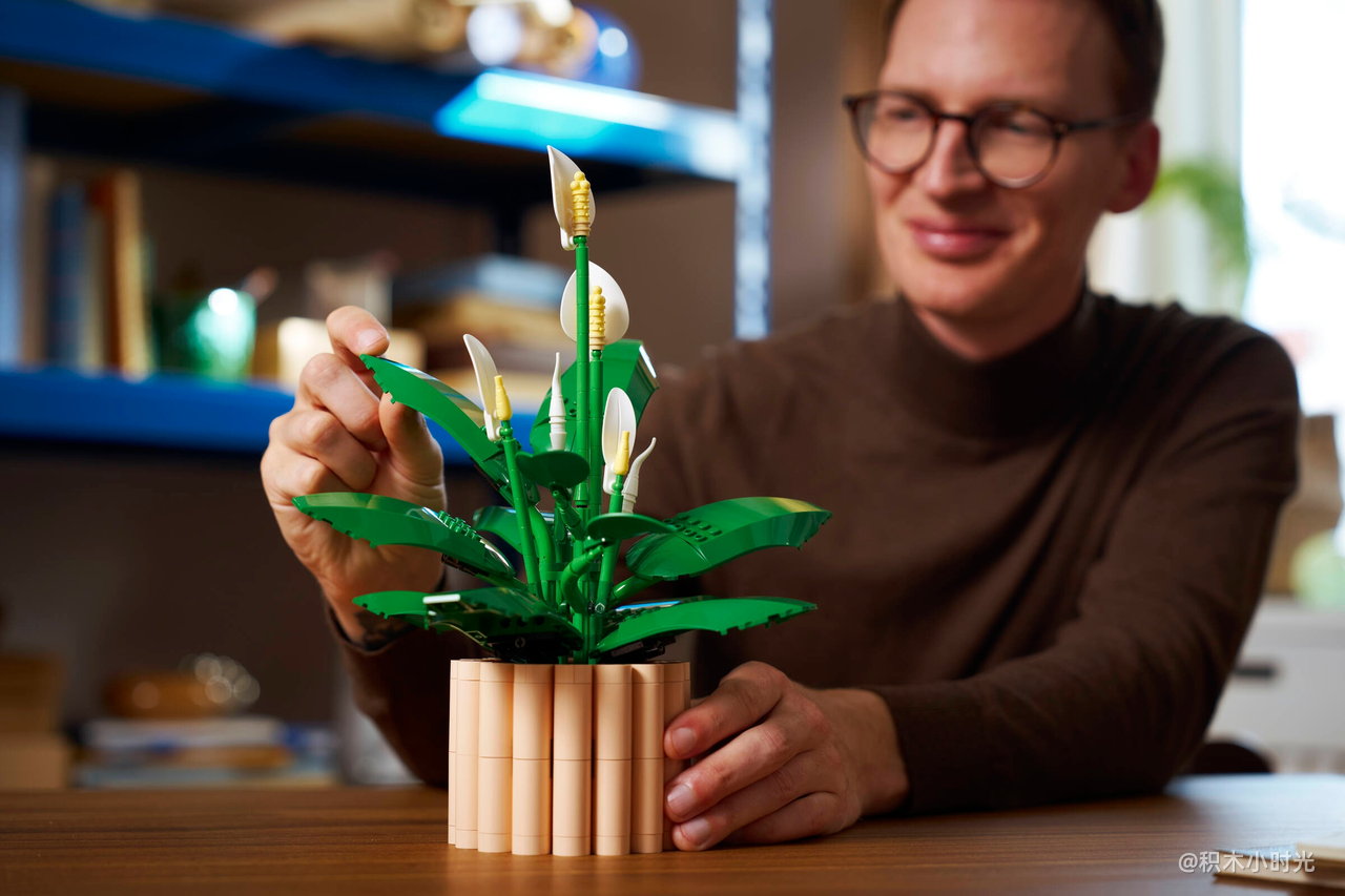 乐高 11504 和平百合