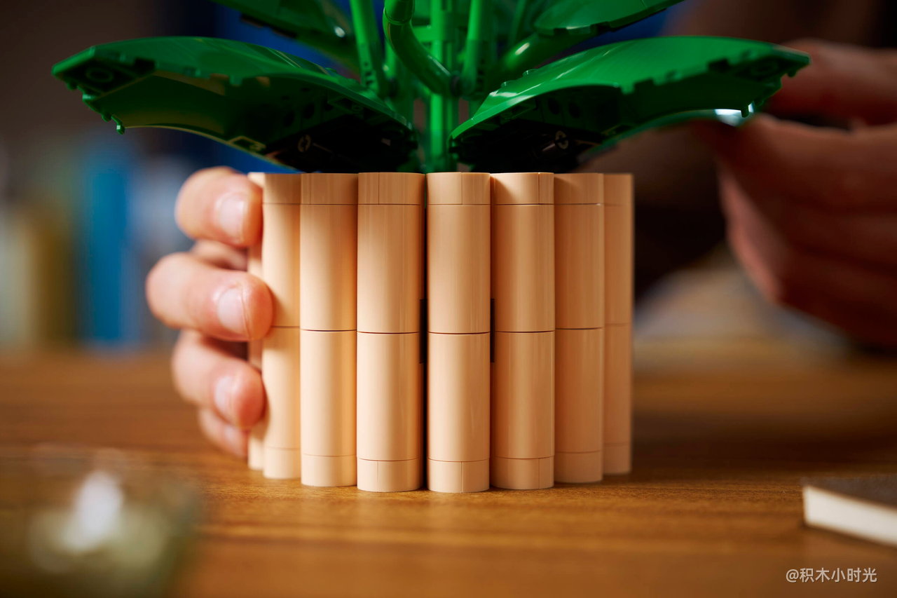 乐高 11504 和平百合