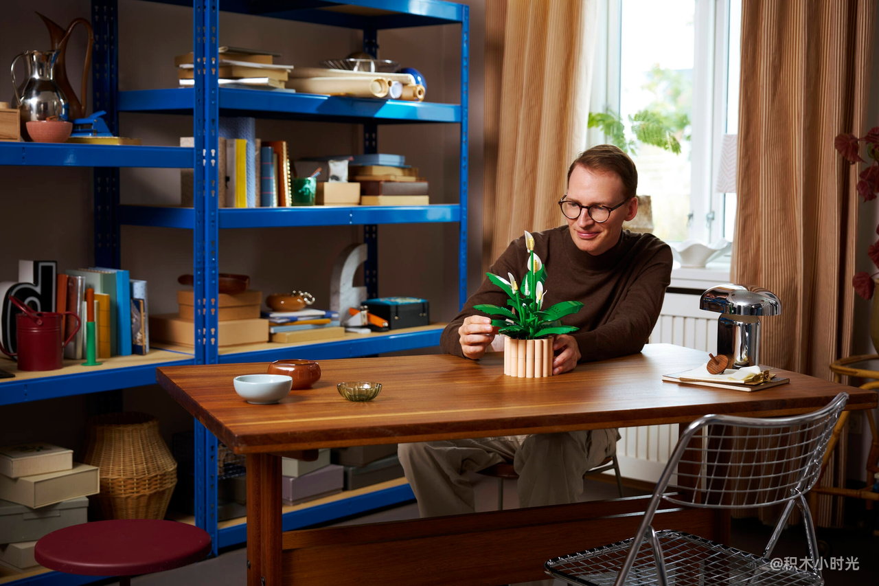 乐高 11504 和平百合