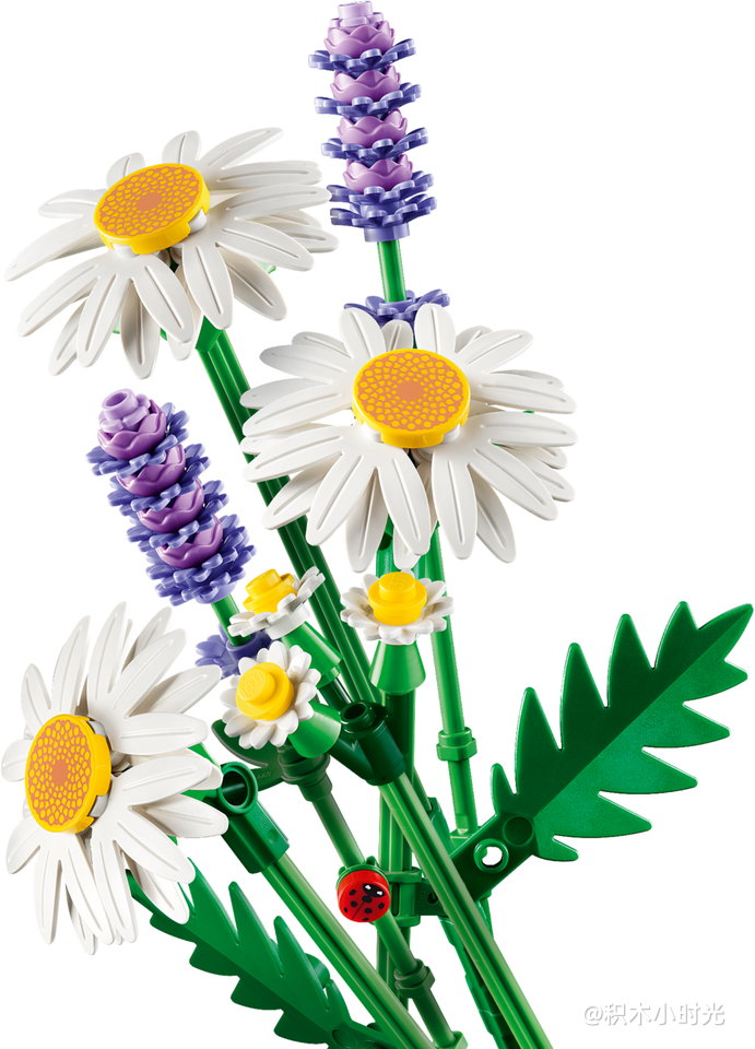 乐高 11508 雏菊
