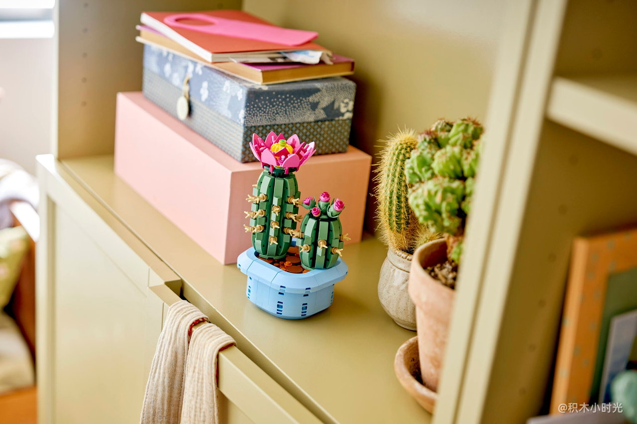 乐高 11509 开花的仙人掌