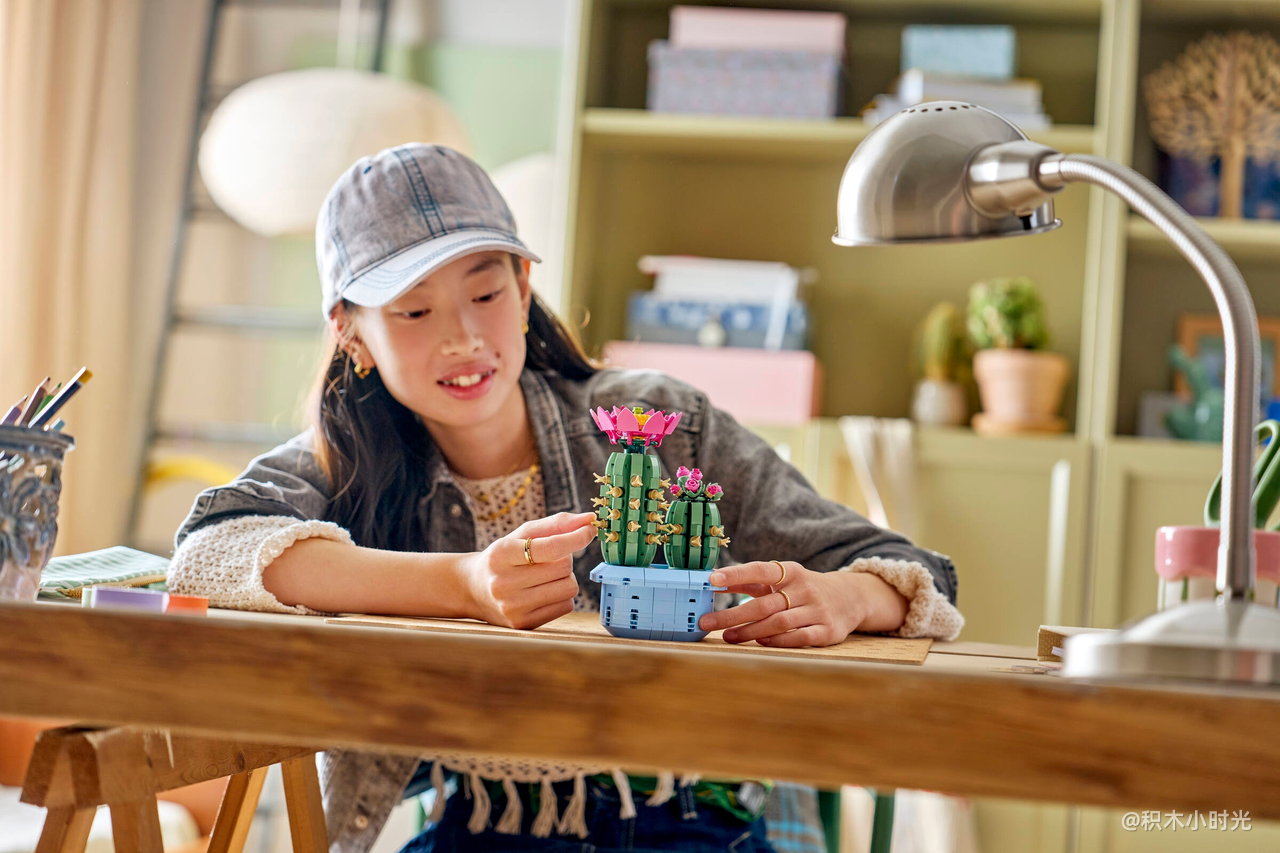 乐高 11509 开花的仙人掌