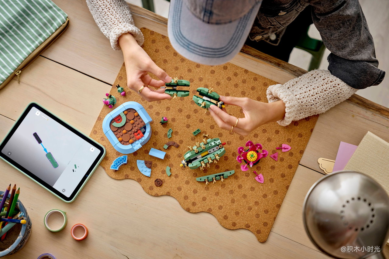 乐高 11509 开花的仙人掌