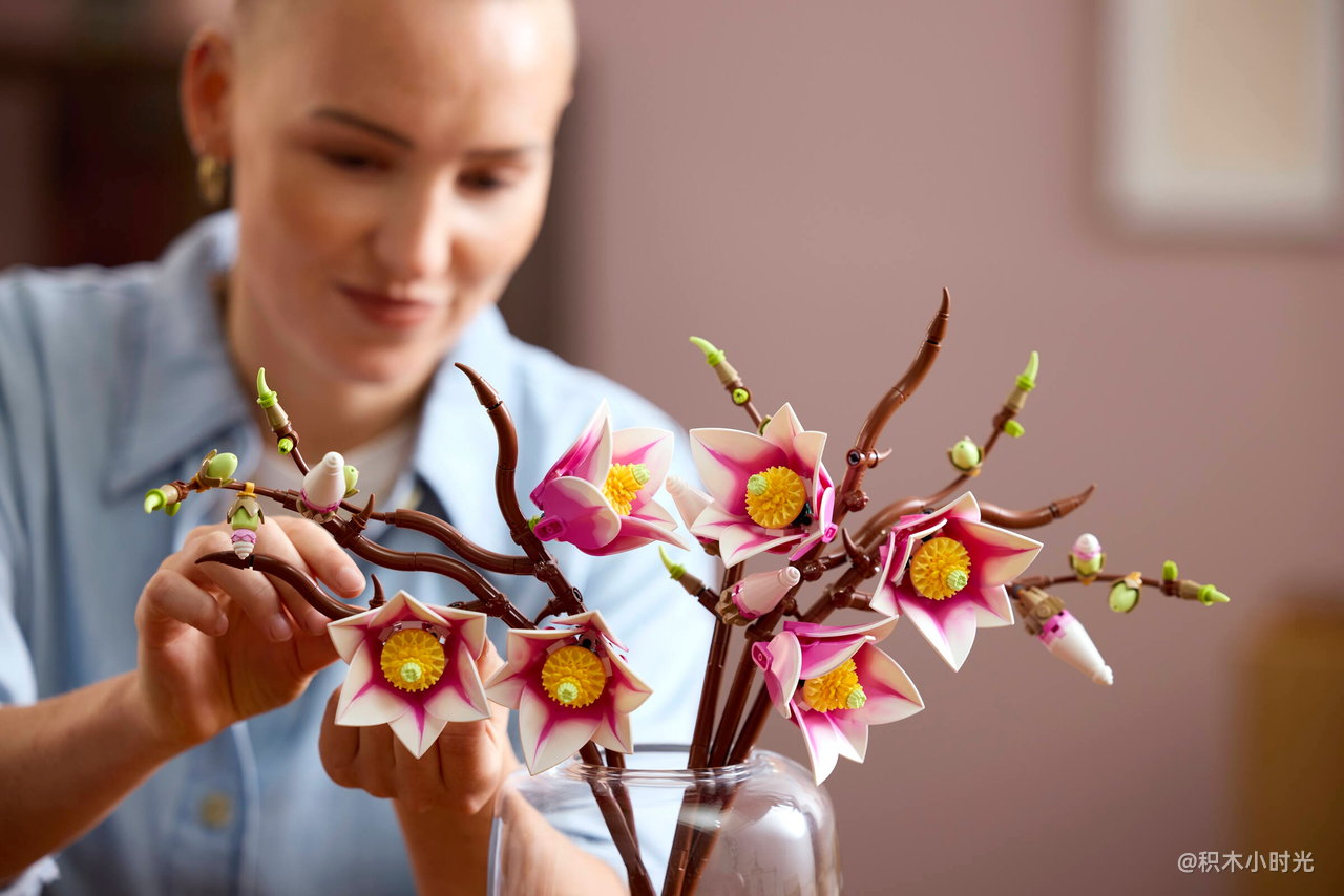 乐高 11510 木兰花枝