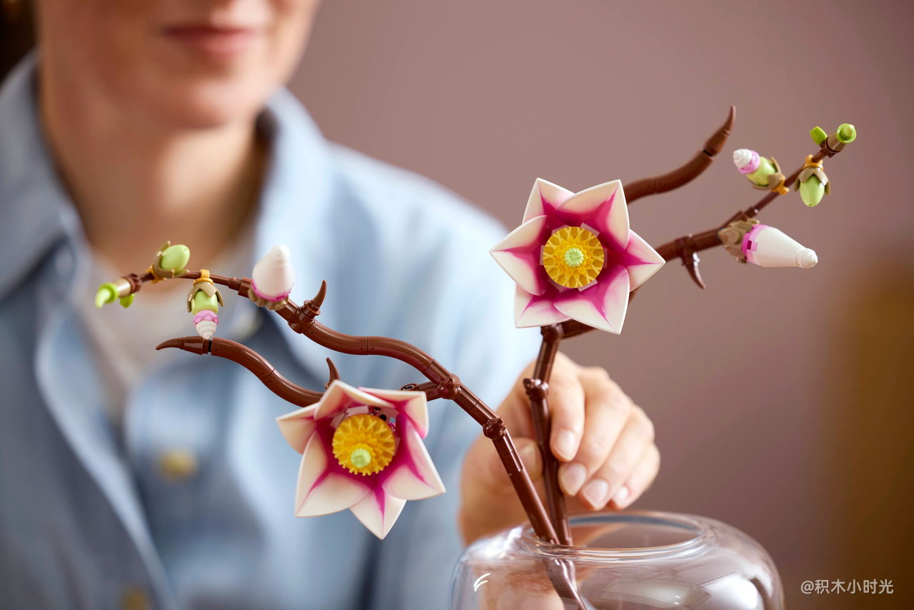 乐高 11510 木兰花枝