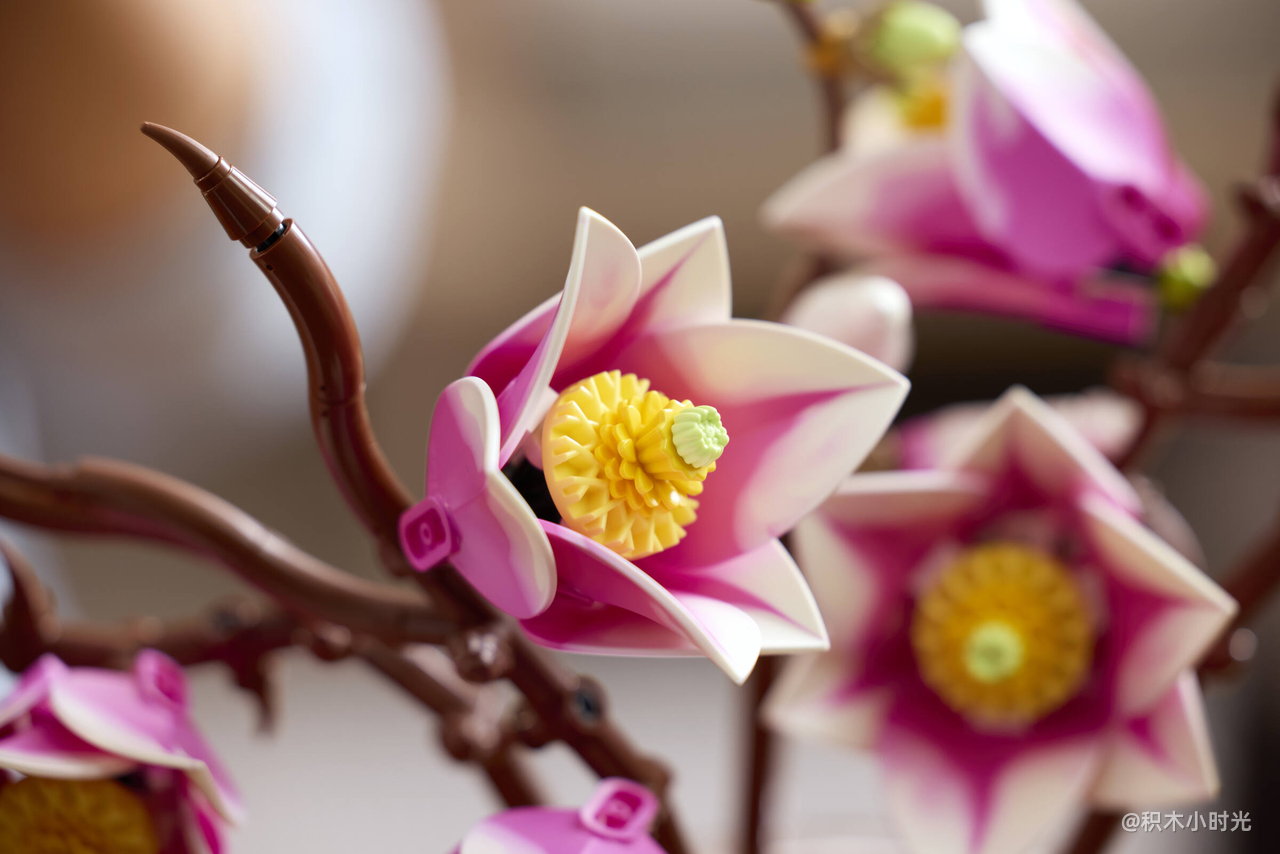 乐高 11510 木兰花枝