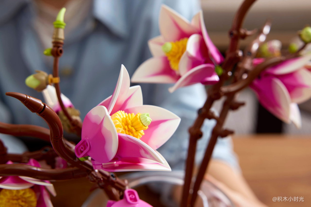 乐高 11510 木兰花枝