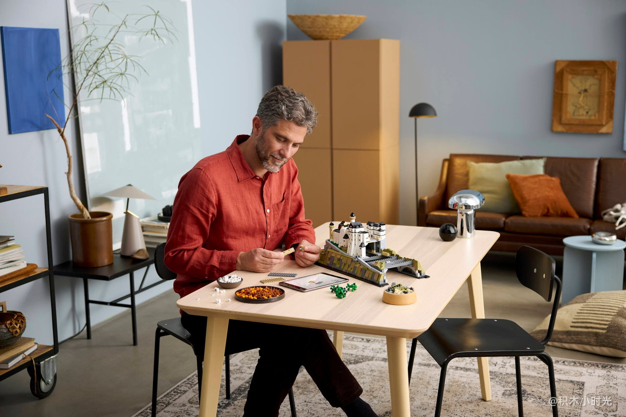 乐高 21063 新天鹅堡