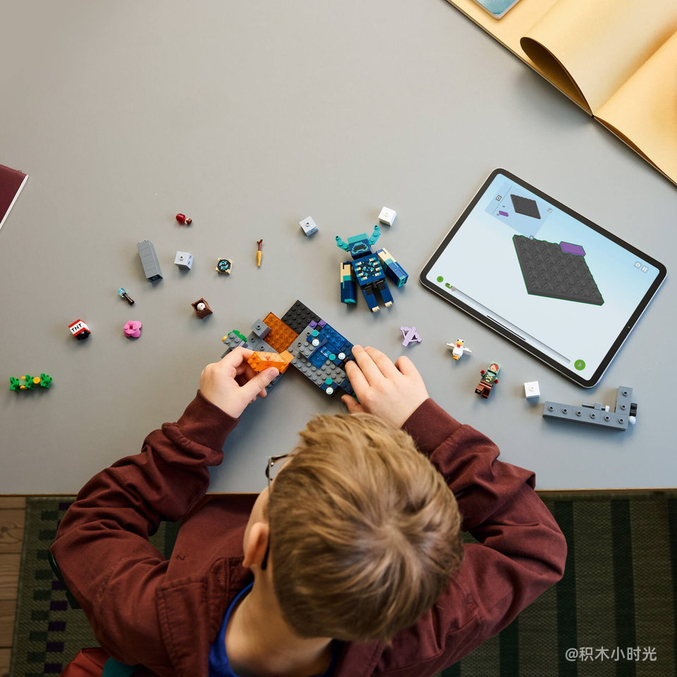 乐高 21274 对战循声守卫