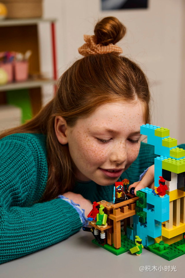 乐高 21282 鹦鹉屋