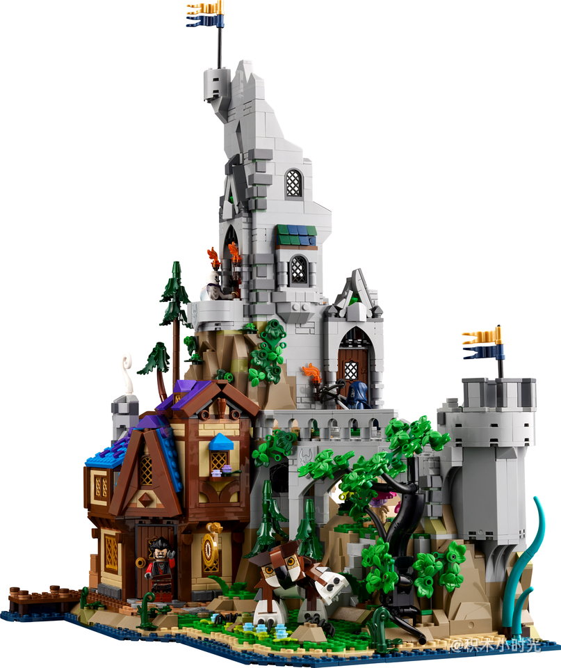 乐高 21348 龙与地下城：红龙传说