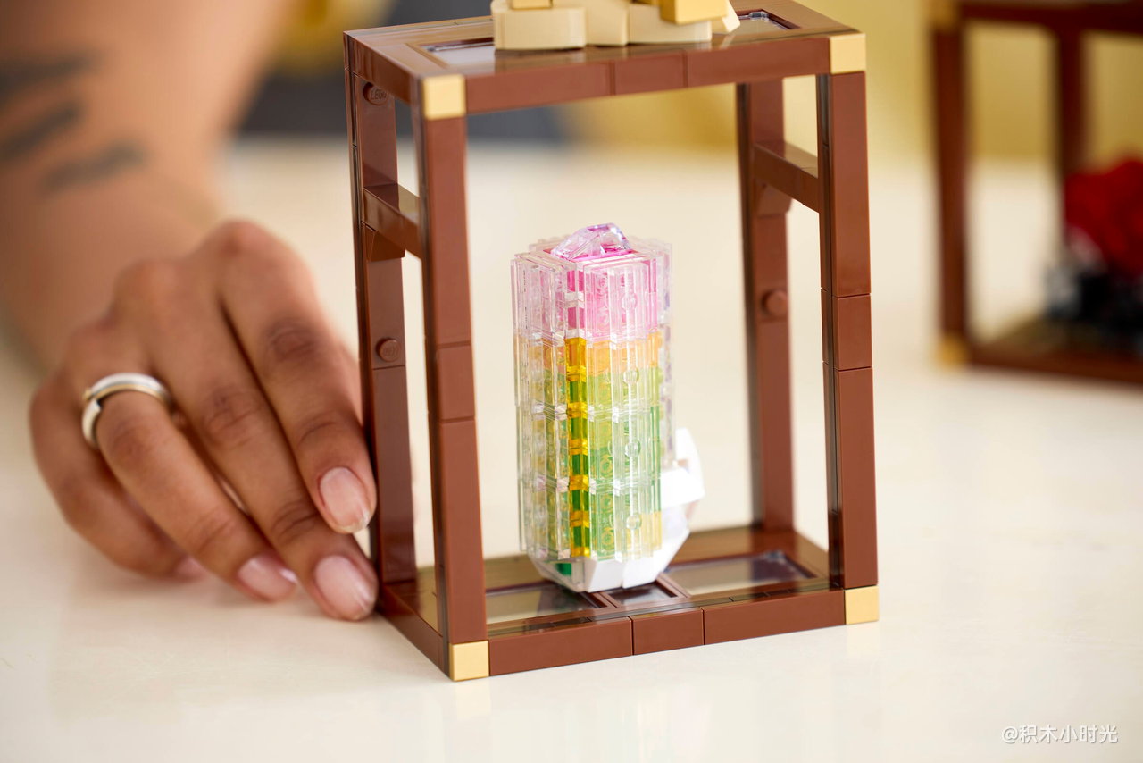 乐高 21362 矿石藏品