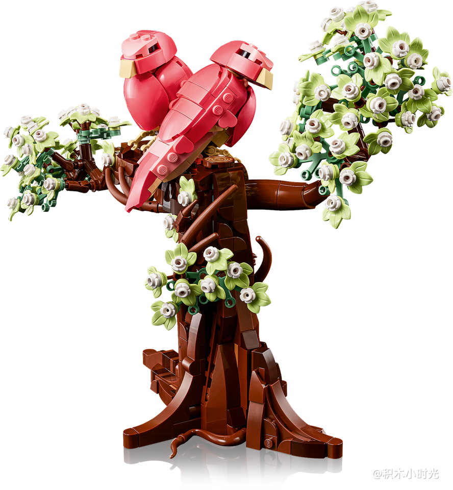 乐高 21365 爱情鸟