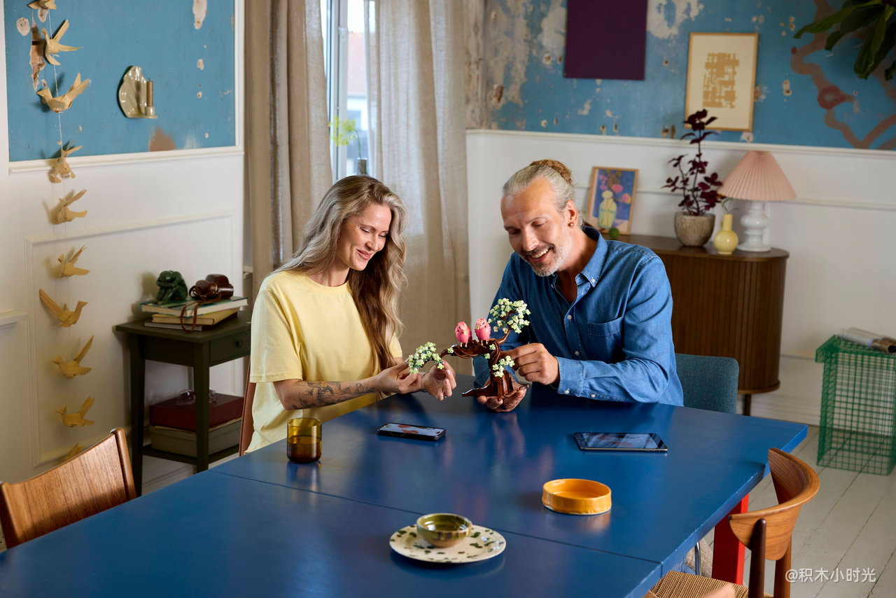 乐高 21365 爱情鸟