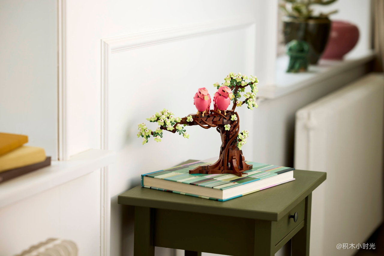 乐高 21365 爱情鸟