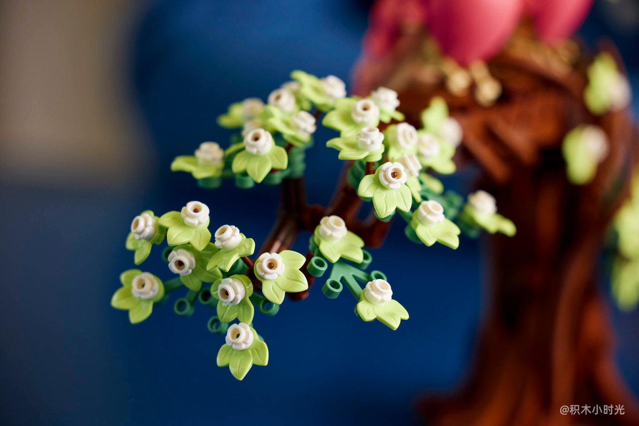 乐高 21365 爱情鸟