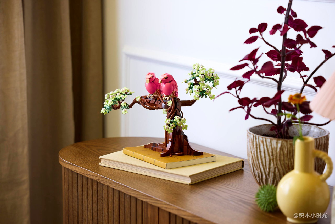 乐高 21365 爱情鸟