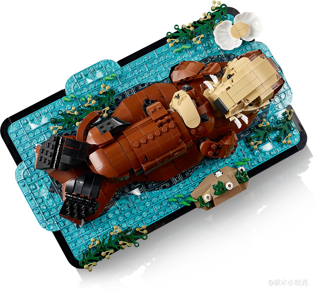 乐高 21366 漂浮的海獭