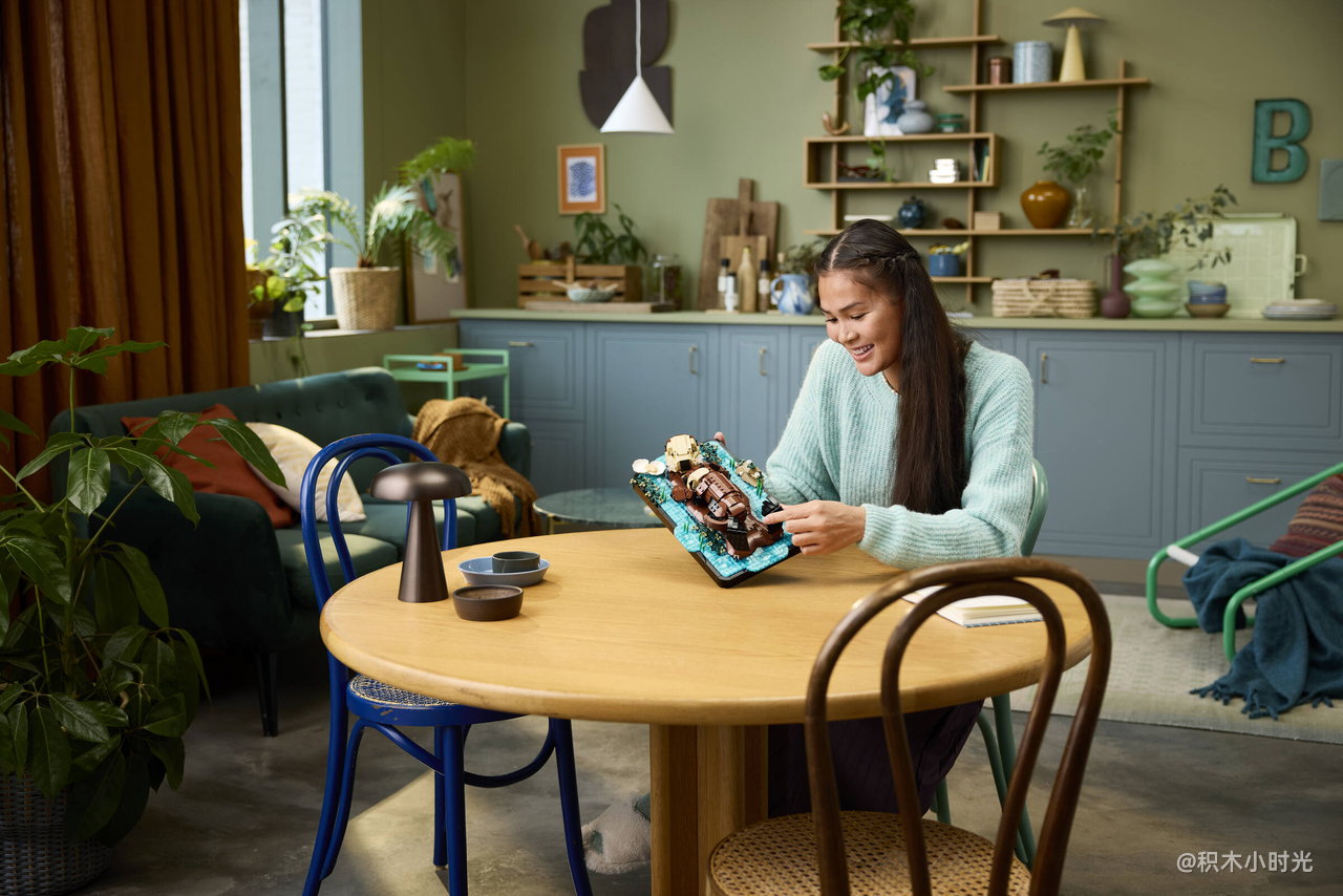 乐高 21366 漂浮的海獭