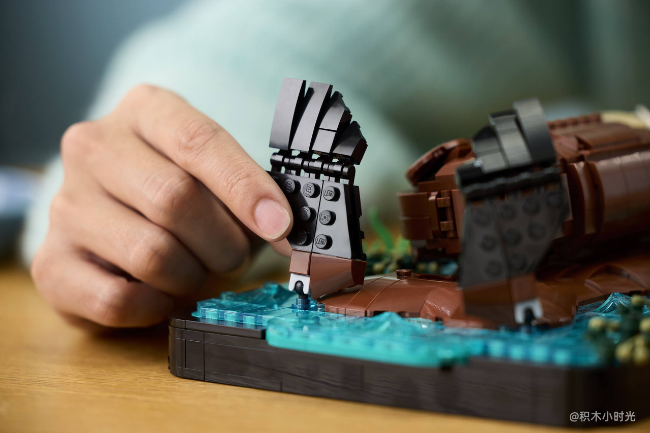 乐高 21366 漂浮的海獭