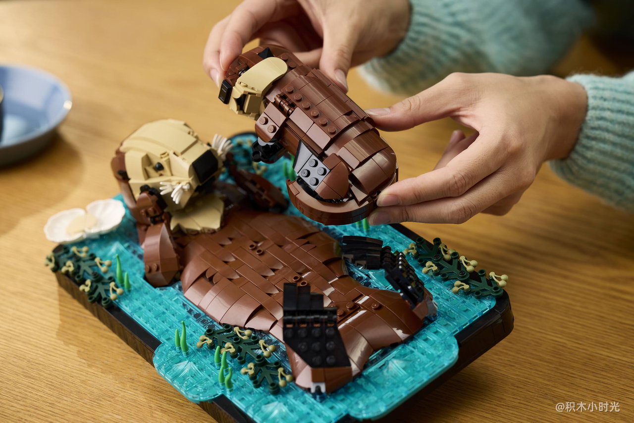 乐高 21366 漂浮的海獭