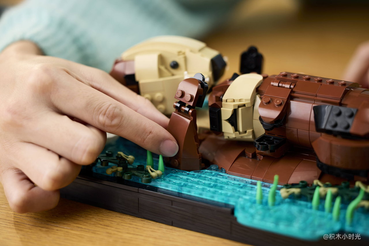 乐高 21366 漂浮的海獭