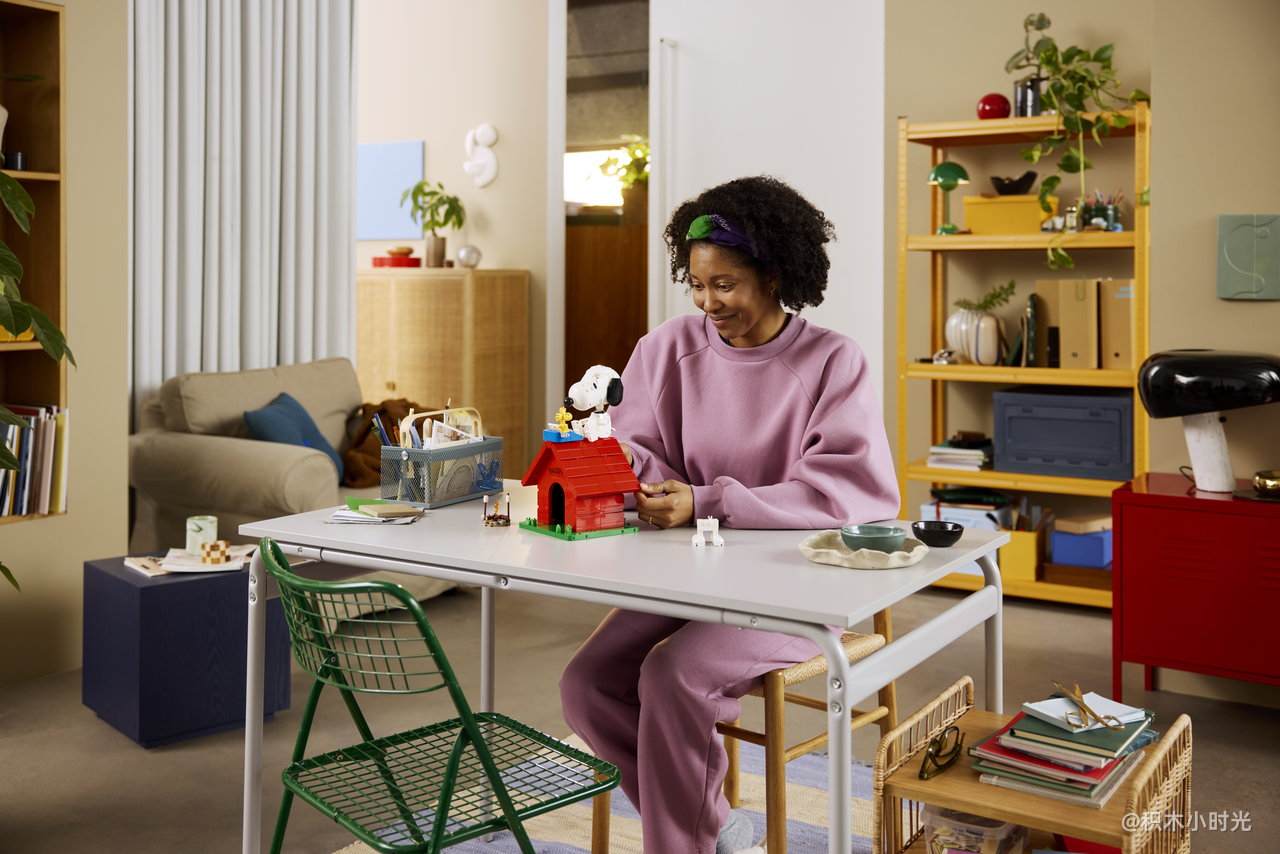 乐高 21368 花生漫画：史努比的狗屋