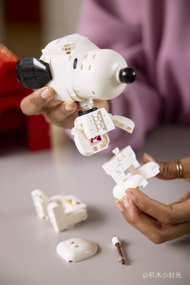 乐高 21368 花生漫画：史努比的狗屋