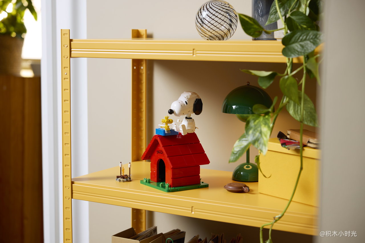 乐高 21368 花生漫画：史努比的狗屋
