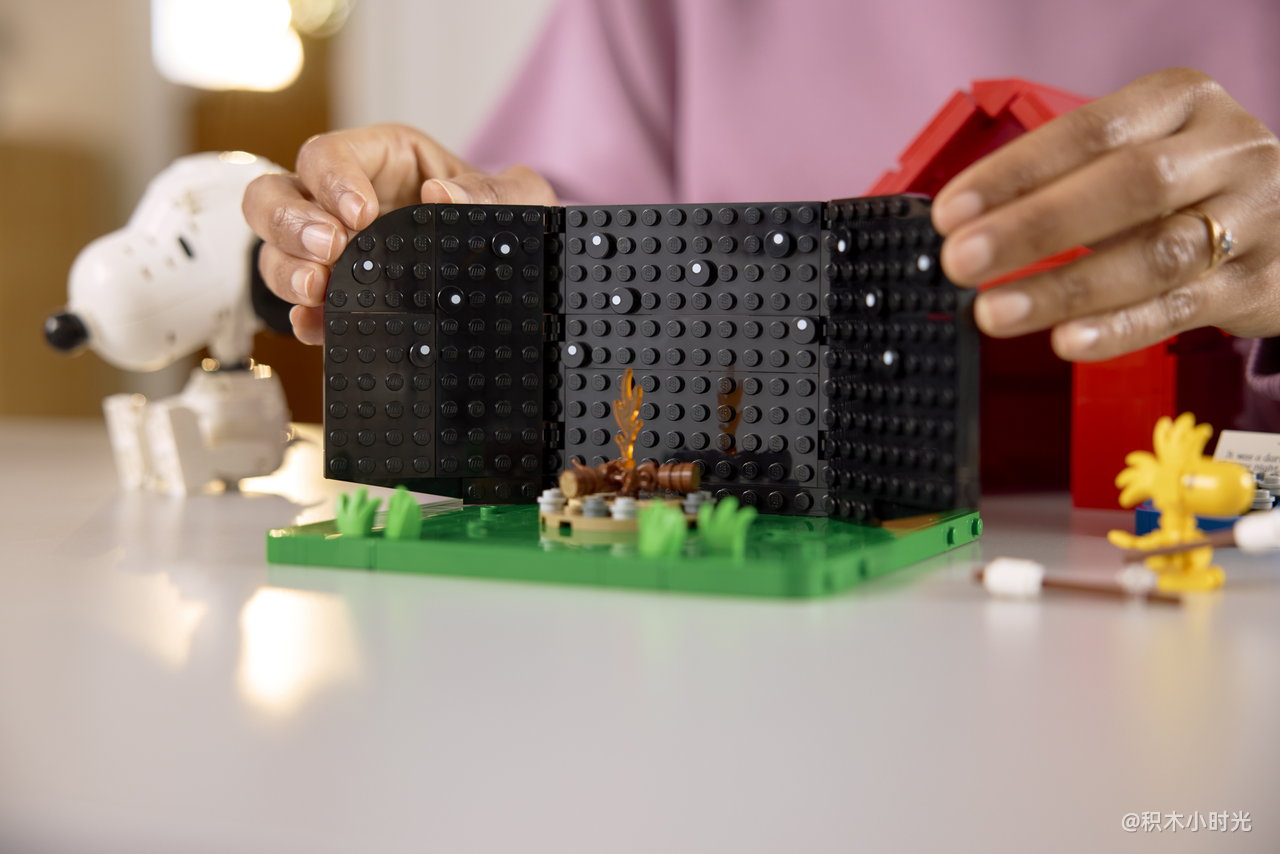 乐高 21368 花生漫画：史努比的狗屋