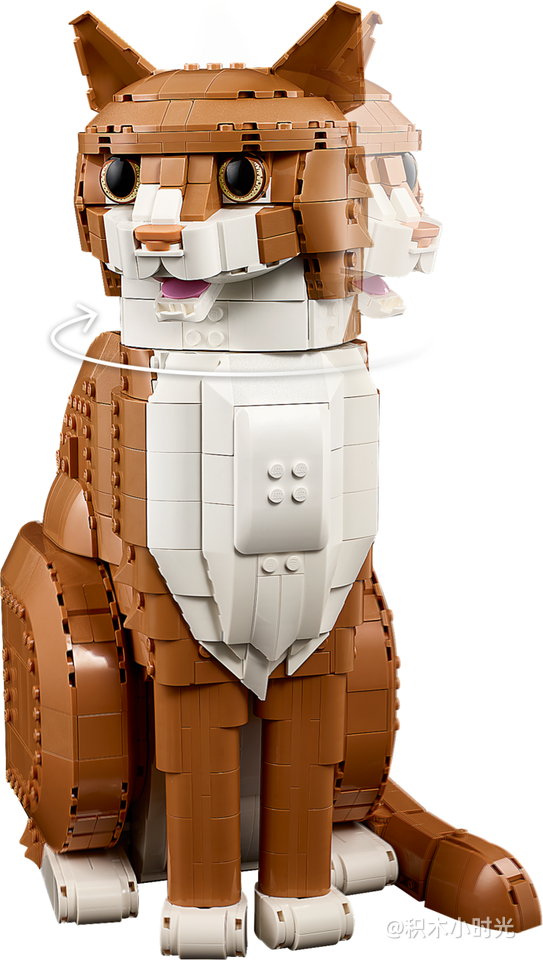 乐高 21376 橙色的猫